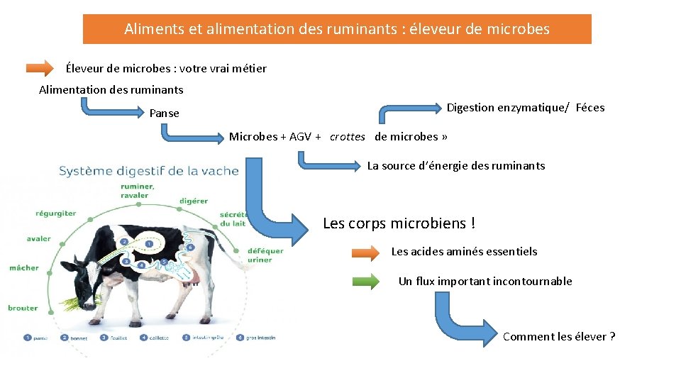 Aliments et alimentation des ruminants : éleveur de microbes Éleveur de microbes : votre