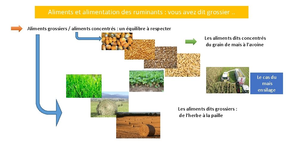 Aliments et alimentation des ruminants : vous avez dit grossier. . Aliments grossiers /