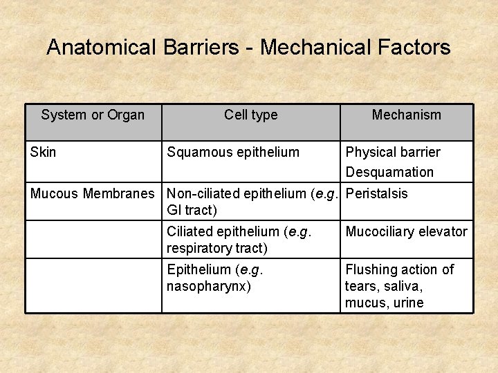 Anatomical Barriers - Mechanical Factors System or Organ Skin Cell type Squamous epithelium Mechanism