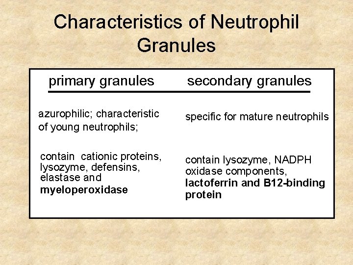 Characteristics of Neutrophil Granules primary granules secondary granules azurophilic; characteristic of young neutrophils; specific