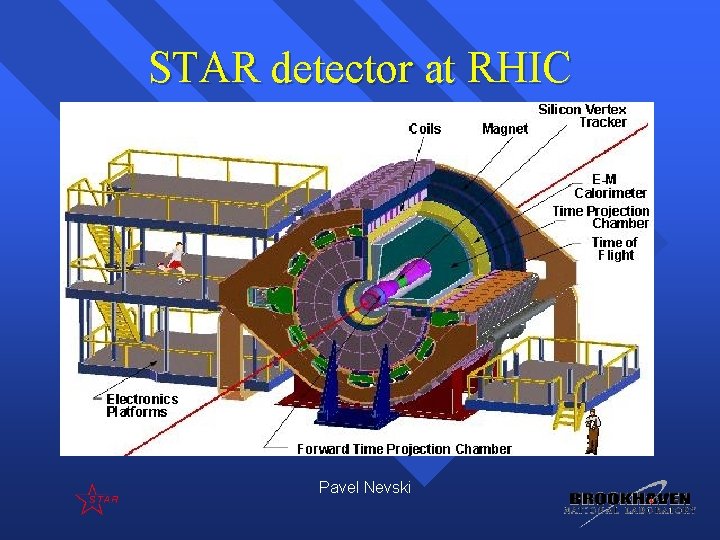 STAR detector at RHIC Pavel Nevski STAR detector at RHIC Pavel Nevski