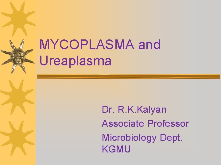 MYCOPLASMA and Ureaplasma Dr. R. K. Kalyan Associate Professor Microbiology Dept. KGMU 