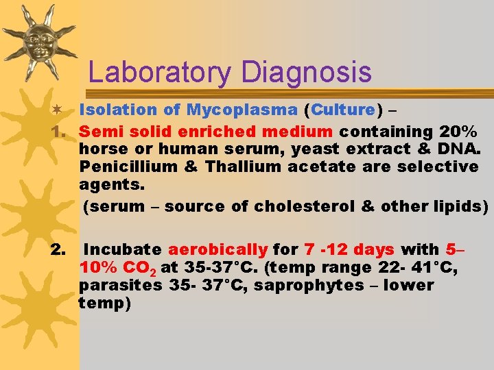 Laboratory Diagnosis ¬ Isolation of Mycoplasma (Culture) – 1. Semi solid enriched medium containing