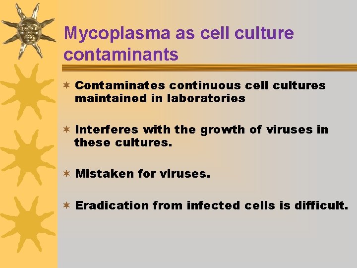 Mycoplasma as cell culture contaminants ¬ Contaminates continuous cell cultures maintained in laboratories ¬