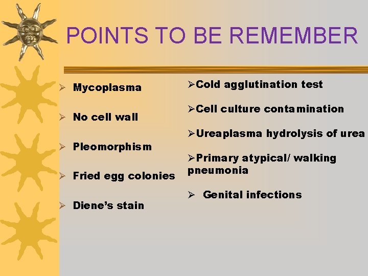 POINTS TO BE REMEMBER Ø Mycoplasma Ø No cell wall Ø Pleomorphism Ø Fried