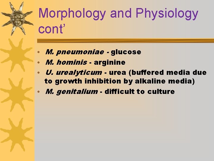 Morphology and Physiology cont’ • M. pneumoniae - glucose • M. hominis - arginine