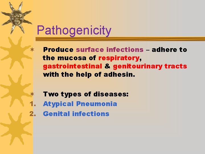 Pathogenicity ¬ Produce surface infections – adhere to the mucosa of respiratory, gastrointestinal &