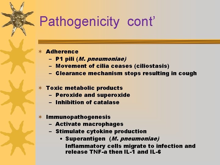 Pathogenicity cont’ ¬ Adherence – P 1 pili (M. pneumoniae) – Movement of cilia