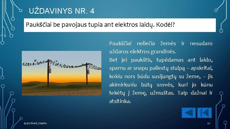 UŽDAVINYS NR. 4 Paukščiai be pavojaus tupia ant elektros laidų. Kodėl? Paukščiai neliečia žemės