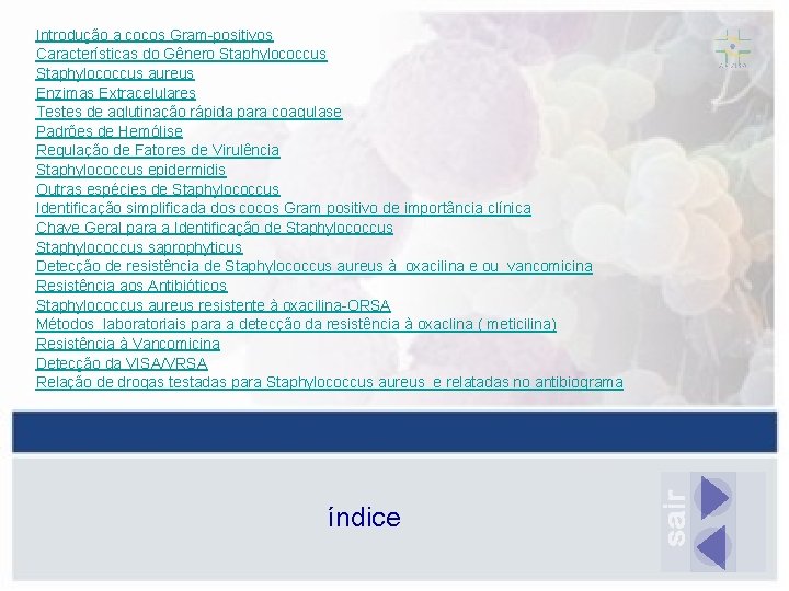 Introdução a cocos Gram-positivos Características do Gênero Staphylococcus aureus Enzimas Extracelulares Testes de aglutinação