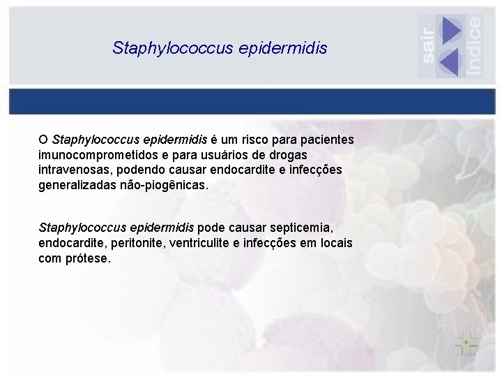 Staphylococcus epidermidis O Staphylococcus epidermidis é um risco para pacientes imunocomprometidos e para usuários