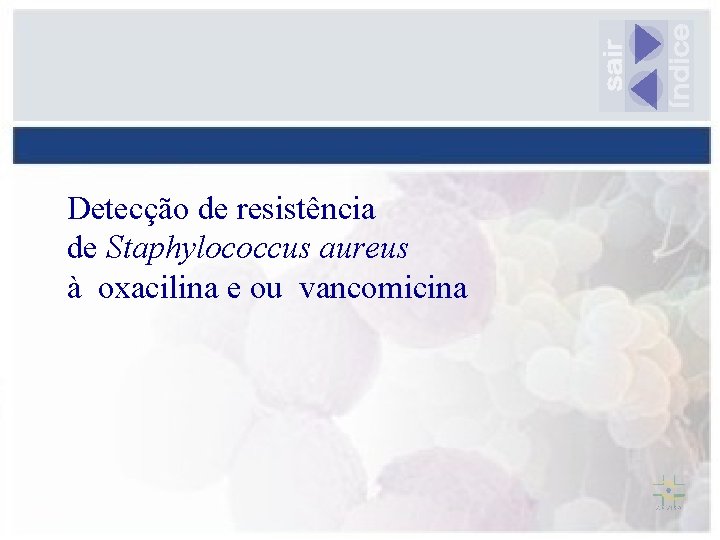 Detecção de resistência de Staphylococcus aureus à oxacilina e ou vancomicina 
