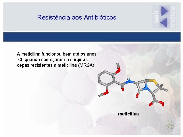 Resistência aos Antibióticos A meticilina funcionou bem até os anos 70, quando começaram a