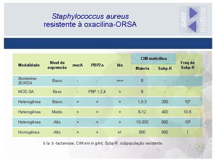 Staphylococcus aureus resistente à oxacilina-ORSA CIM meticilina Nivel de expressão mec. A PBP 2
