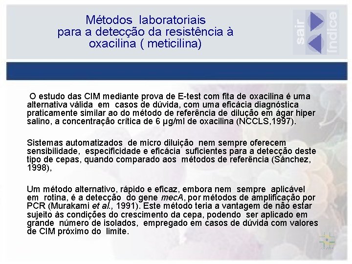 Métodos laboratoriais para a detecção da resistência à oxacilina ( meticilina) O estudo das