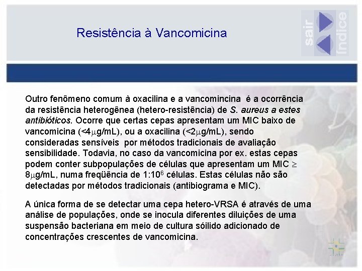 Resistência à Vancomicina Outro fenômeno comum à oxacilina e a vancomincina é a ocorrência