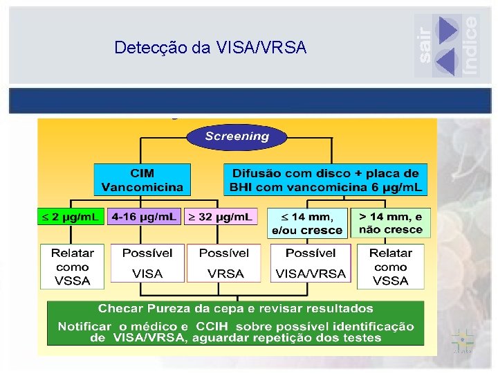 Detecção da VISA/VRSA 
