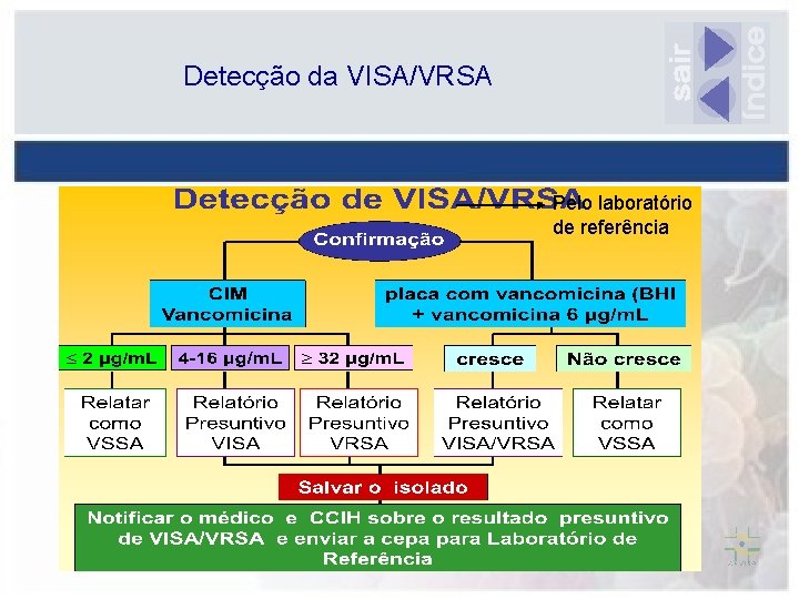 Detecção da VISA/VRSA Pelo laboratório de referência 