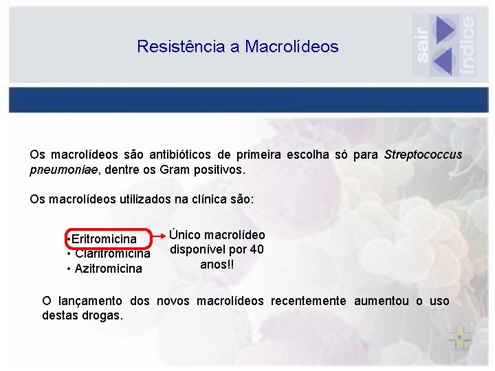 Resistência a Macrolídeos Os macrolídeos são antibióticos de primeira escolha só para Streptococcus pneumoniae,