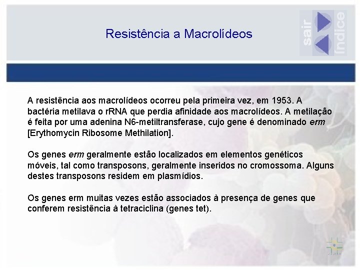 Resistência a Macrolídeos A resistência aos macrolídeos ocorreu pela primeira vez, em 1953. A