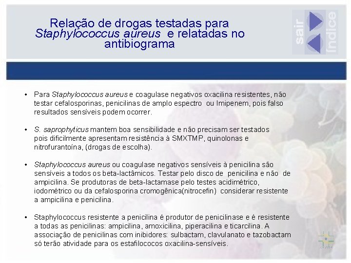 Relação de drogas testadas para Staphylococcus aureus e relatadas no antibiograma • Para Staphylococcus