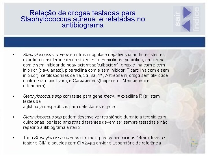 Relação de drogas testadas para Staphylococcus aureus e relatadas no antibiograma • Staphylococcus aureus