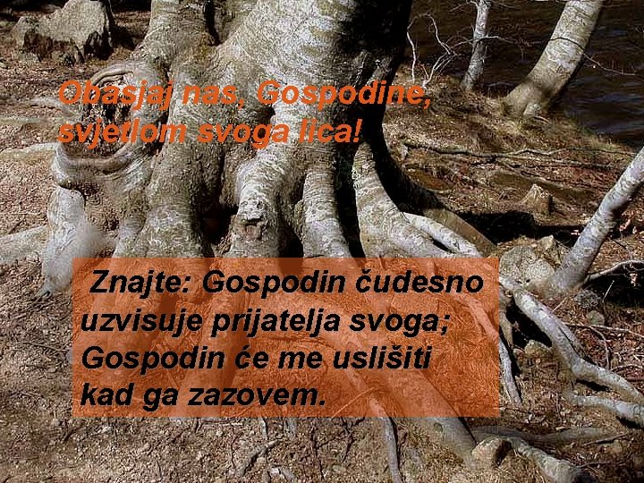 Obasjaj nas, Gospodine, svjetlom svoga lica! Znajte: Gospodin čudesno uzvisuje prijatelja svoga; Gospodin će