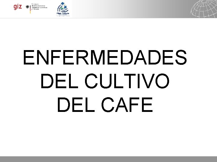ENFERMEDADES DEL CULTIVO DEL CAFE 05. 11. 2020 Seite 19 