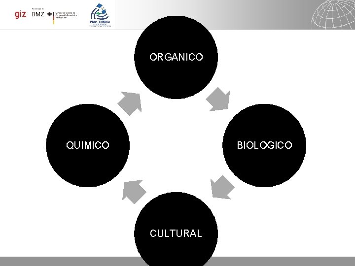 3 ORGANICO MANEJO QUIMICO BIOLOGICO CULTURAL 