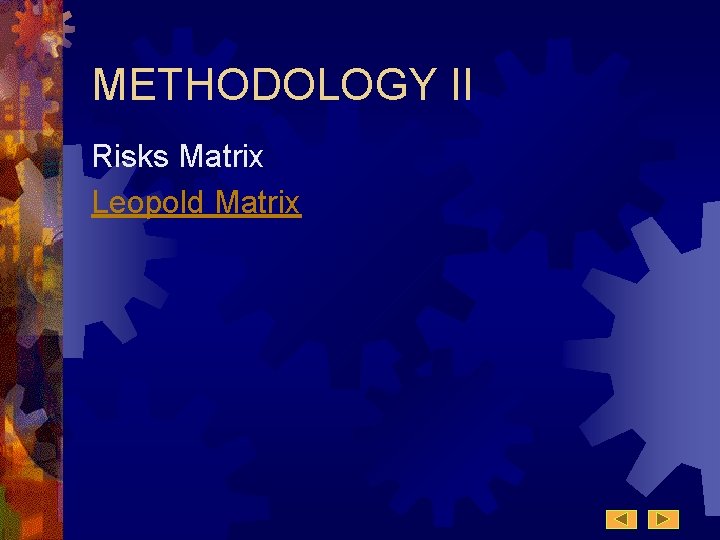 METHODOLOGY II Risks Matrix Leopold Matrix METHODOLOGY II Risks Matrix Leopold Matrix
