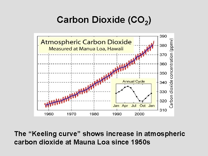 Carbon Dioxide (CO 2) The “Keeling curve” shows increase in atmospheric carbon dioxide at