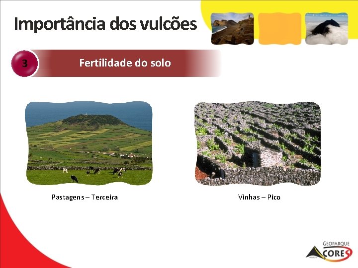 Importância dos vulcões 3 Fertilidade do solo Pastagens – Terceira Vinhas – Pico 