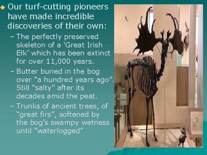 u Our turf-cutting pioneers have made incredible discoveries of their own: – The perfectly