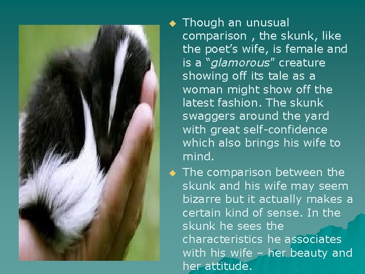 u u Though an unusual comparison , the skunk, like the poet’s wife, is