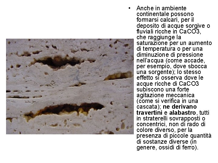  • Anche in ambiente continentale possono formarsi calcari, per il deposito di acque