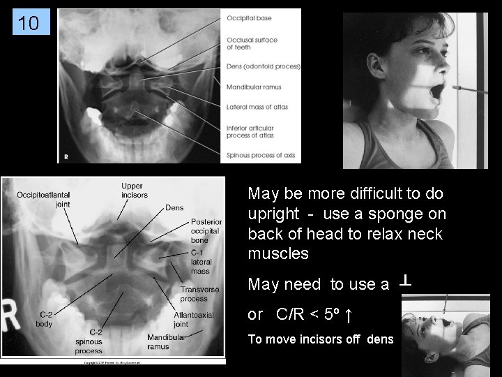 10 May be more difficult to do upright - use a sponge on back