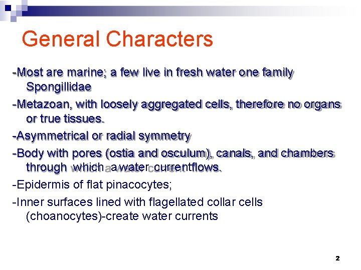 General Characters -Most are marine; a few live in fresh water one family Spongillidae
