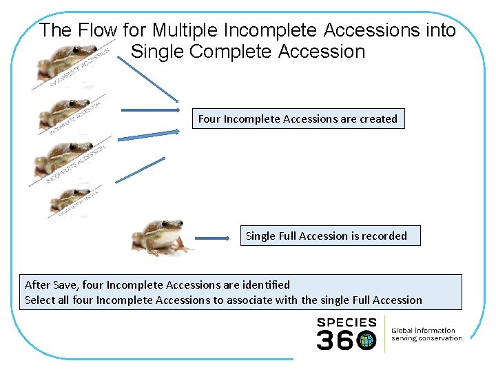 The Flow for Multiple Incomplete Accessions into Single Complete Accession Four Incomplete Accessions are