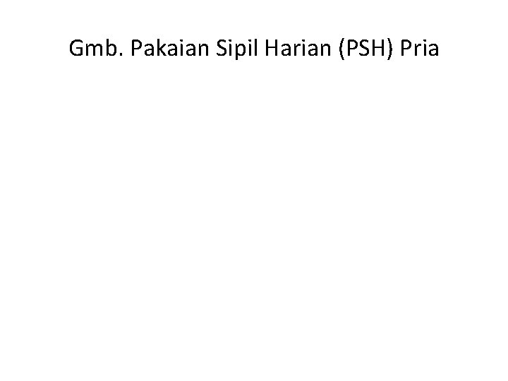 Gmb. Pakaian Sipil Harian (PSH) Pria 