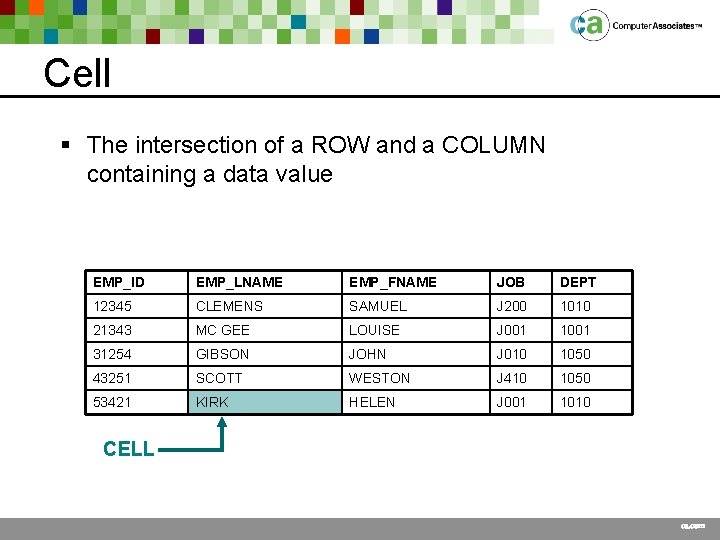 Cell § The intersection of a ROW and a COLUMN containing a data value