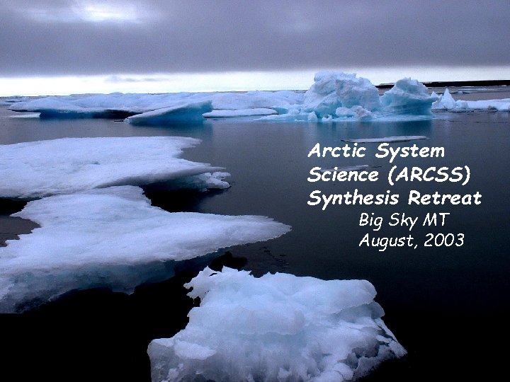 Arctic System Science (ARCSS) Synthesis Retreat Big Sky MT August, 2003 