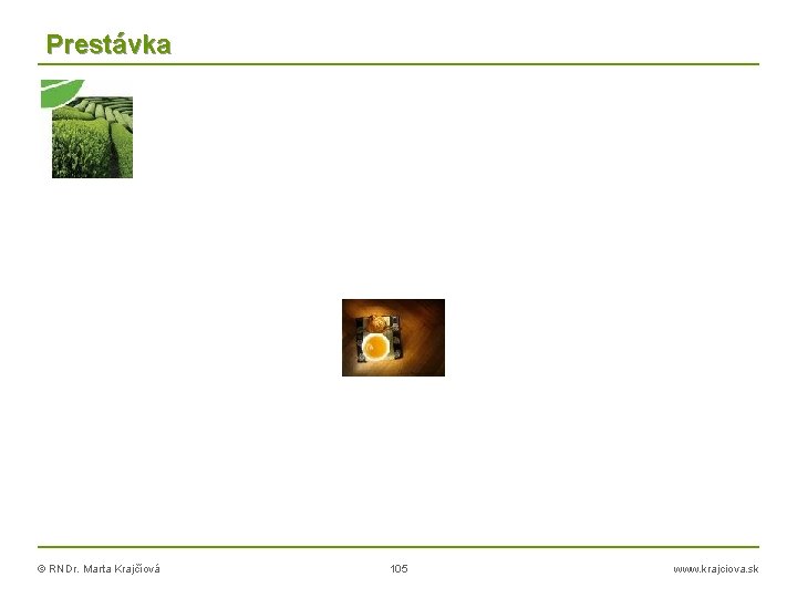 Prestávka © RNDr. Marta Krajčíová 105 www. krajciova. sk 