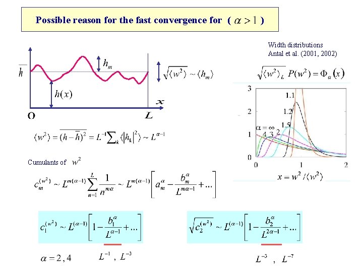 Possible reason for the fast convergence for ( ) Width distributions Antal et al.