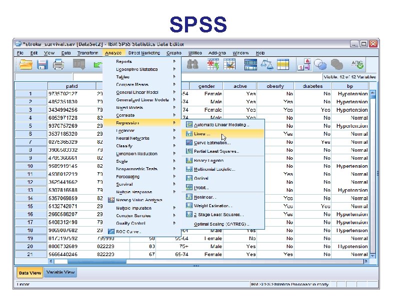 SPSS SPSS