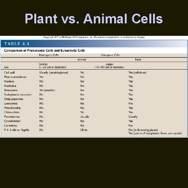 Plant vs. Animal Cells 