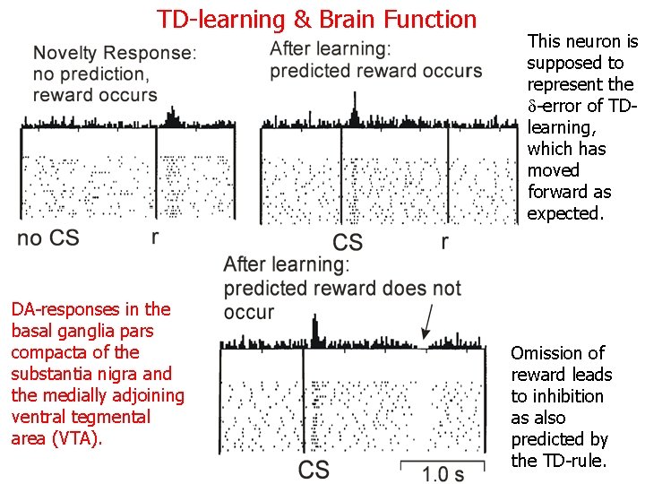 TD-learning & Brain Function DA-responses in the basal ganglia pars compacta of the substantia