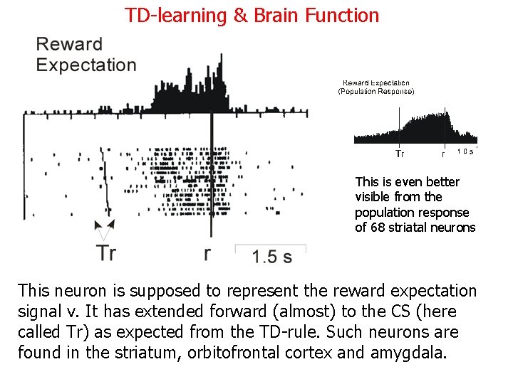 TD-learning & Brain Function This is even better visible from the population response of