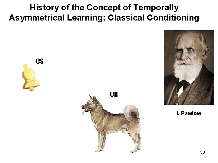 History of the Concept of Temporally Asymmetrical Learning: Classical Conditioning I. Pawlow 33 