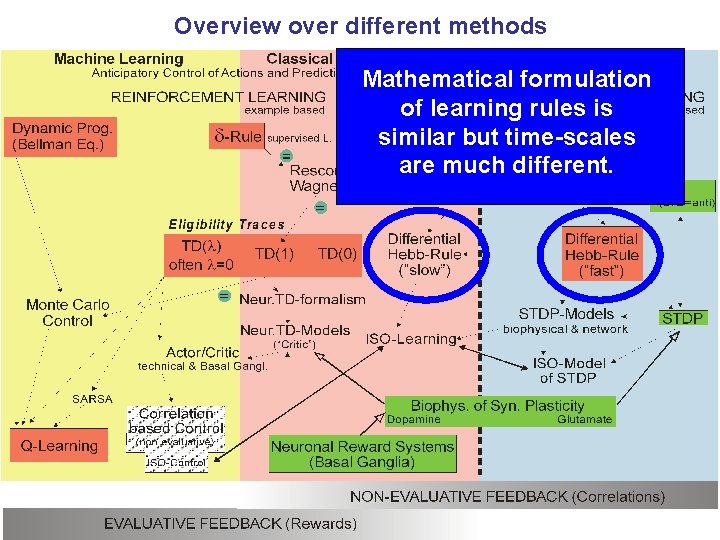 Overview over different methods Mathematical formulation of learning rules is similar but time-scales are