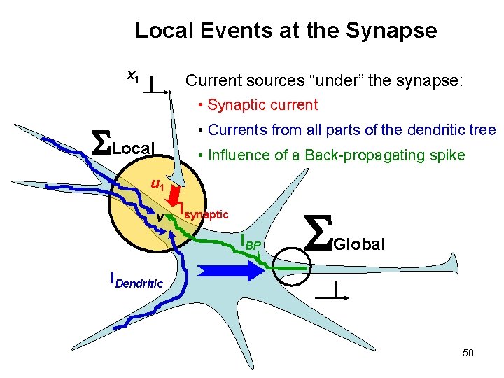 Local Events at the Synapse x 1 Current sources “under” the synapse: • Synaptic
